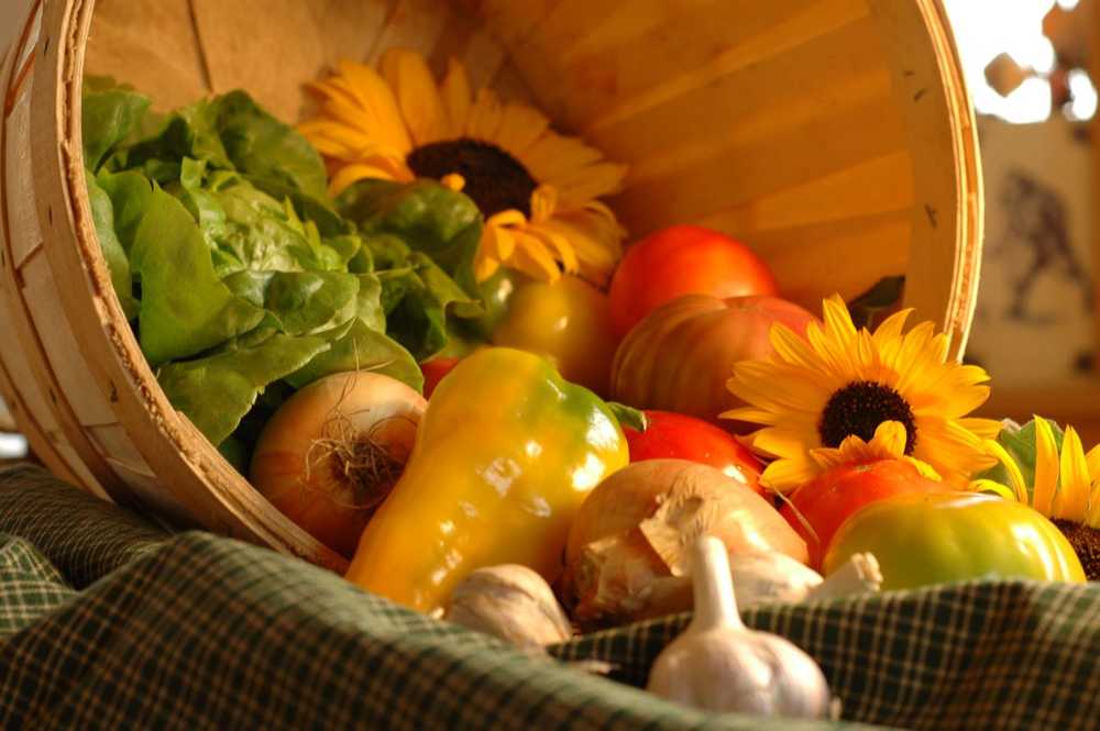 Sign-up for the 2026 season now open!